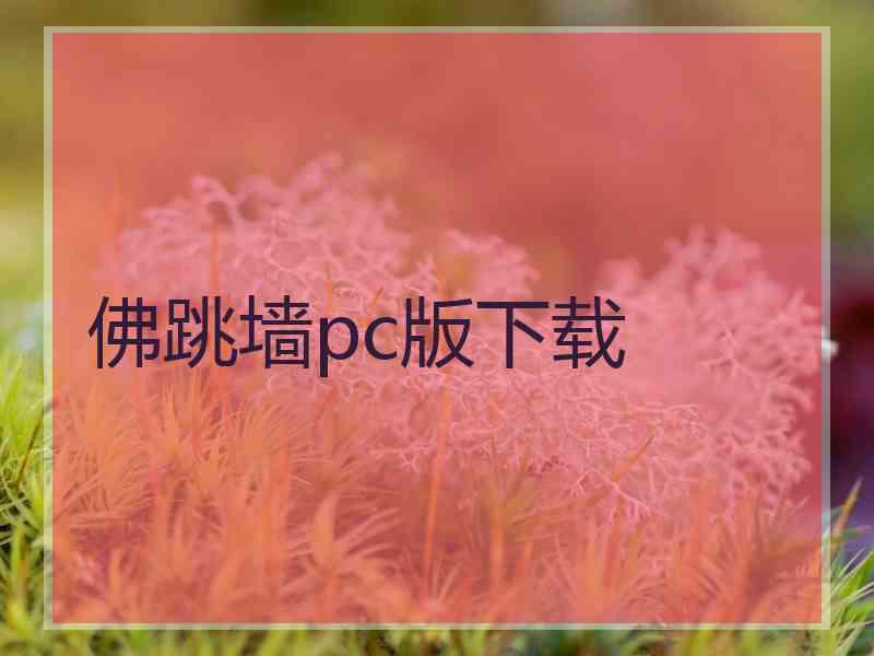 佛跳墙pc版下载