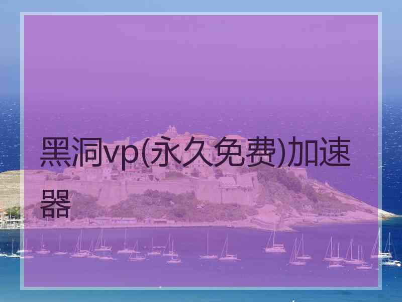 黑洞vp(永久免费)加速器