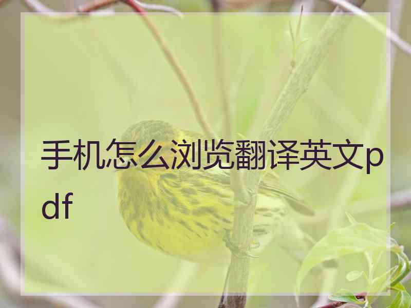 手机怎么浏览翻译英文pdf