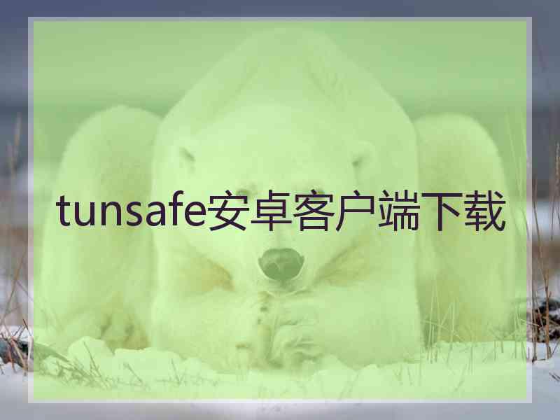 tunsafe安卓客户端下载