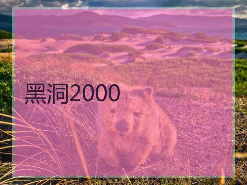 黑洞2000