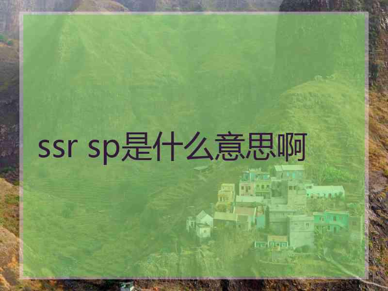 ssr sp是什么意思啊