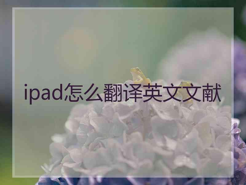 ipad怎么翻译英文文献