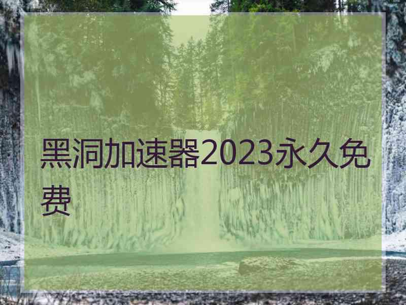 黑洞加速器2023永久免费