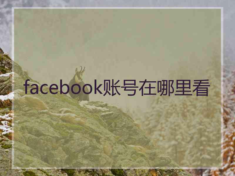 facebook账号在哪里看