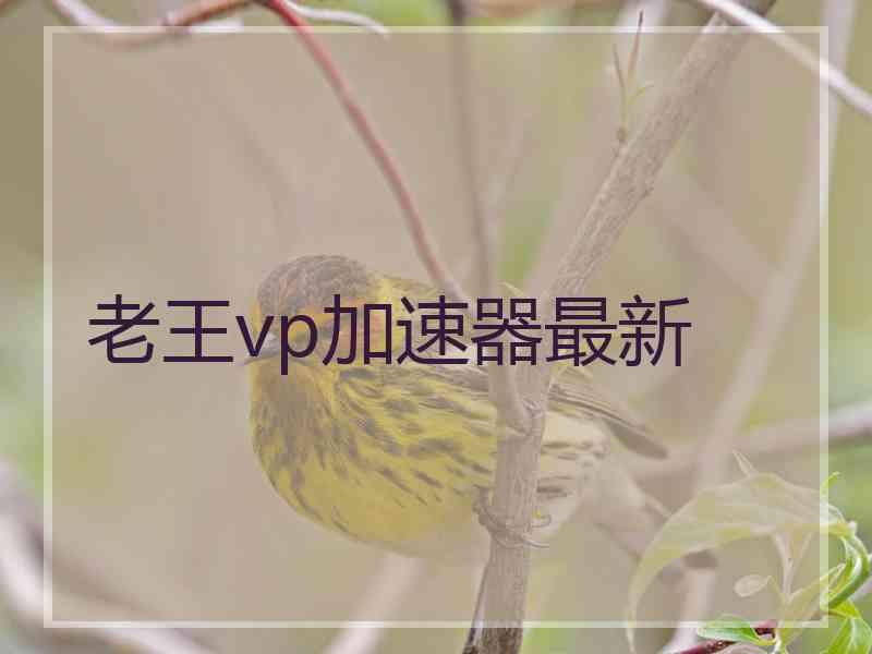 老王vp加速器最新