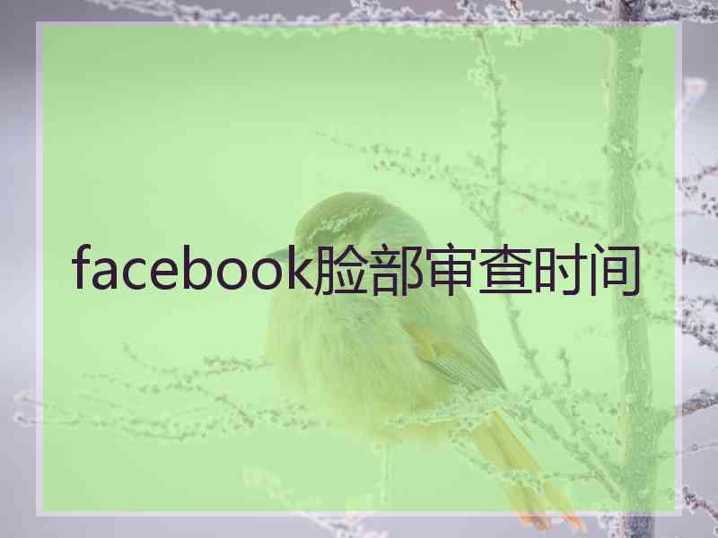 facebook脸部审查时间