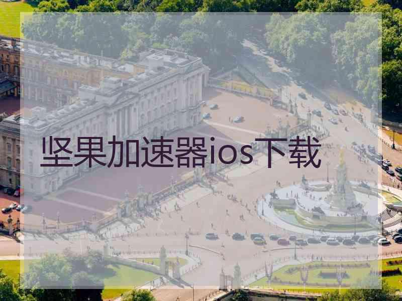 坚果加速器ios下载