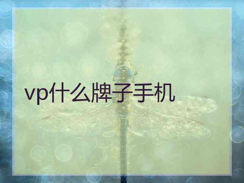 vp什么牌子手机