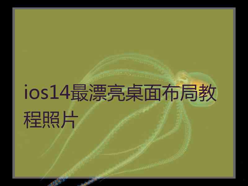 ios14最漂亮桌面布局教程照片