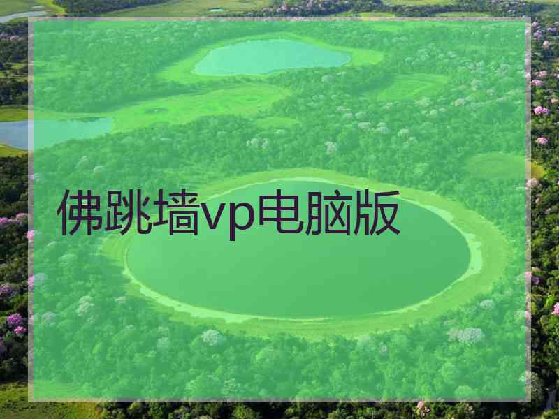 佛跳墙vp电脑版